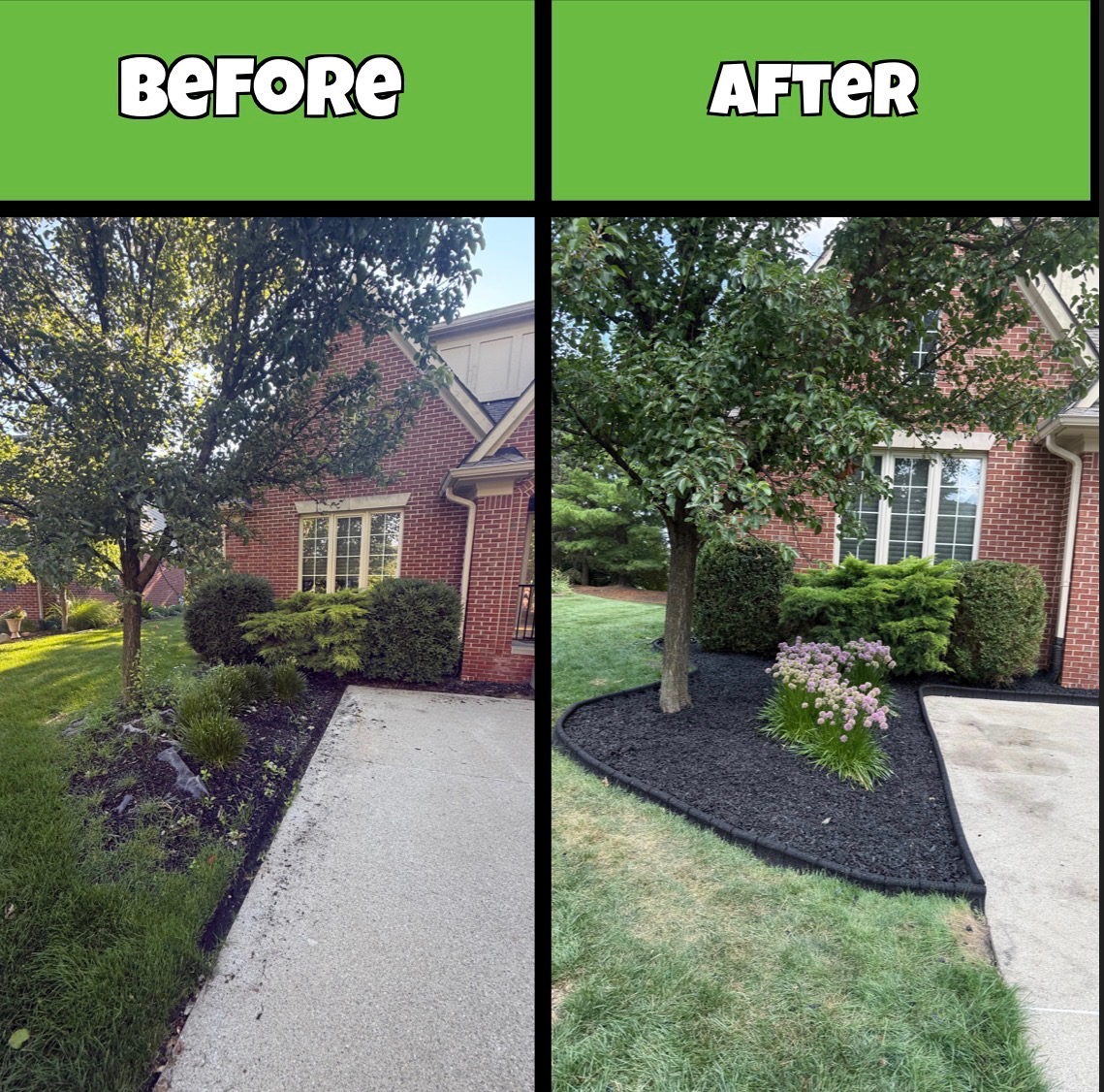 Before and after of a Traub front landscape bed renovation with fresh black mulch and plantings